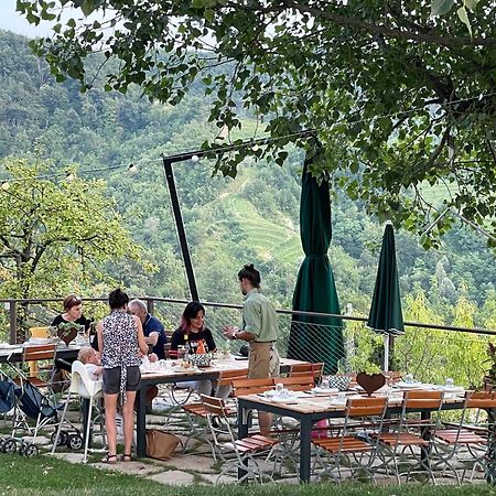 Agriturismo Le Noci Tarzo エクステリア 写真
