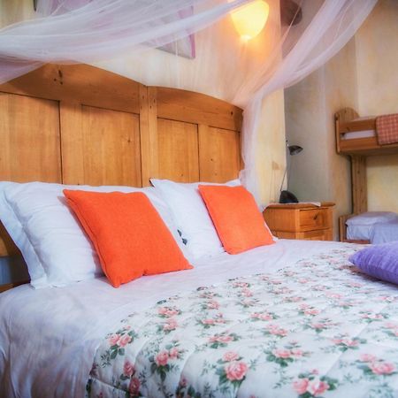 Agriturismo Le Noci Tarzo エクステリア 写真