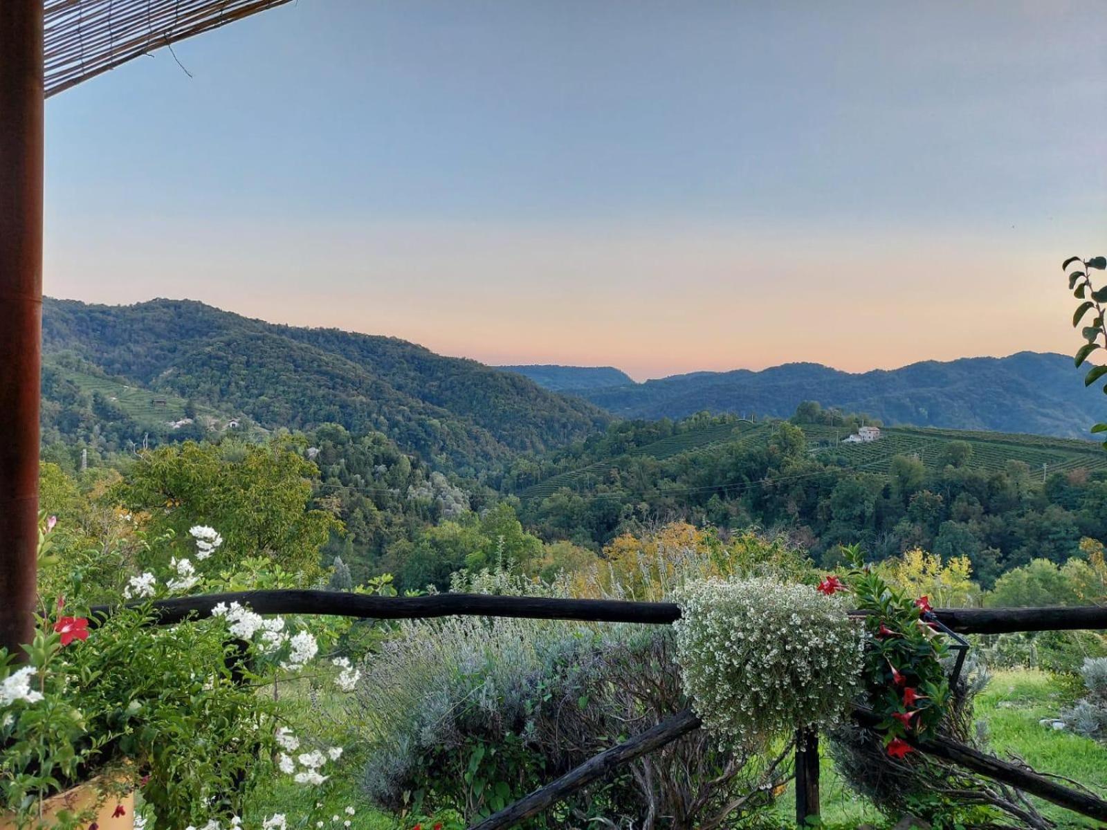 Agriturismo Le Noci Tarzo エクステリア 写真