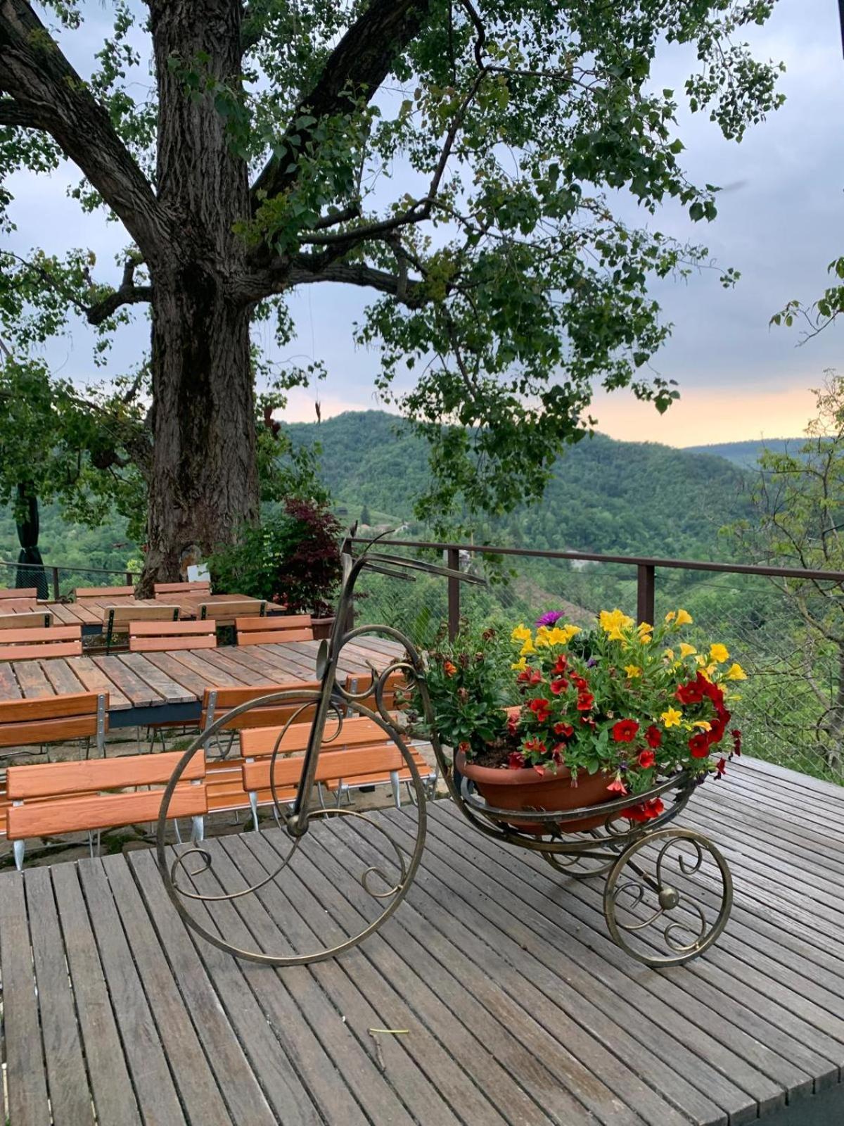 Agriturismo Le Noci Tarzo エクステリア 写真