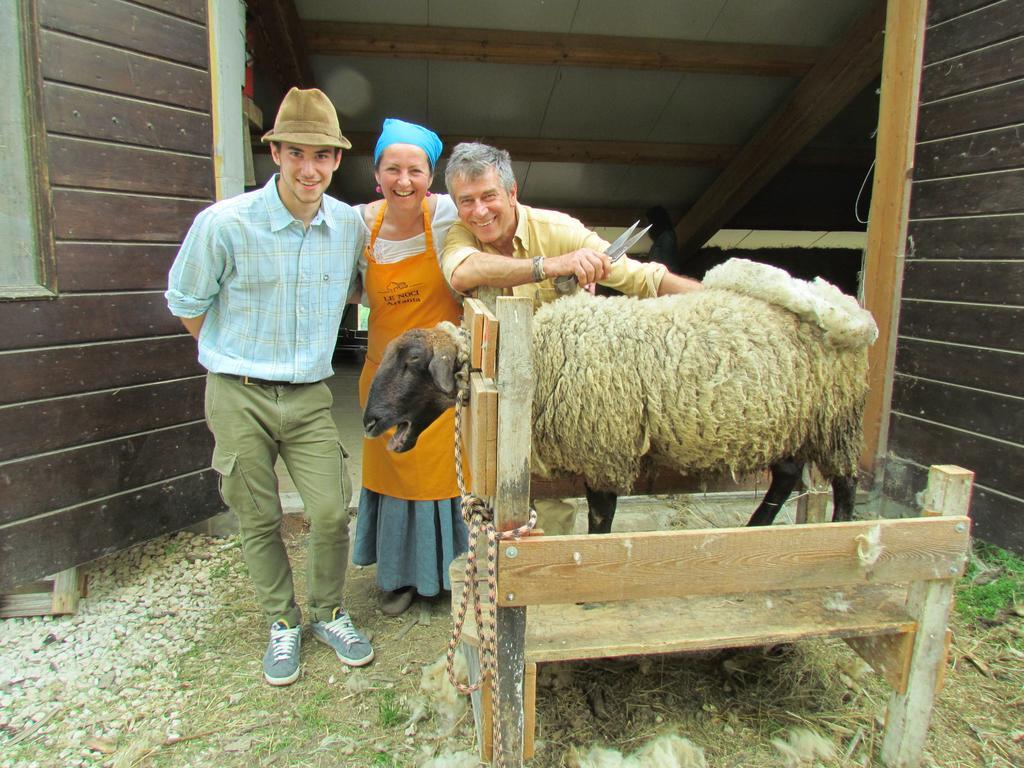 Agriturismo Le Noci Tarzo エクステリア 写真